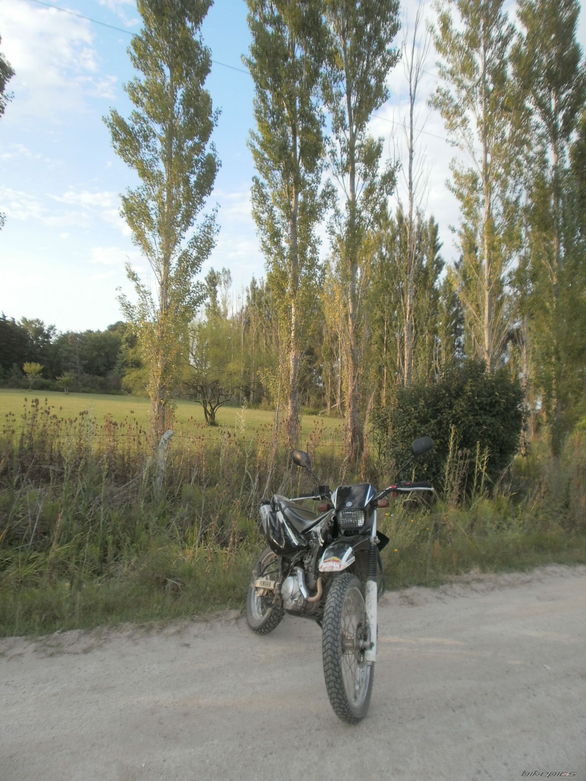 Photo 2783542