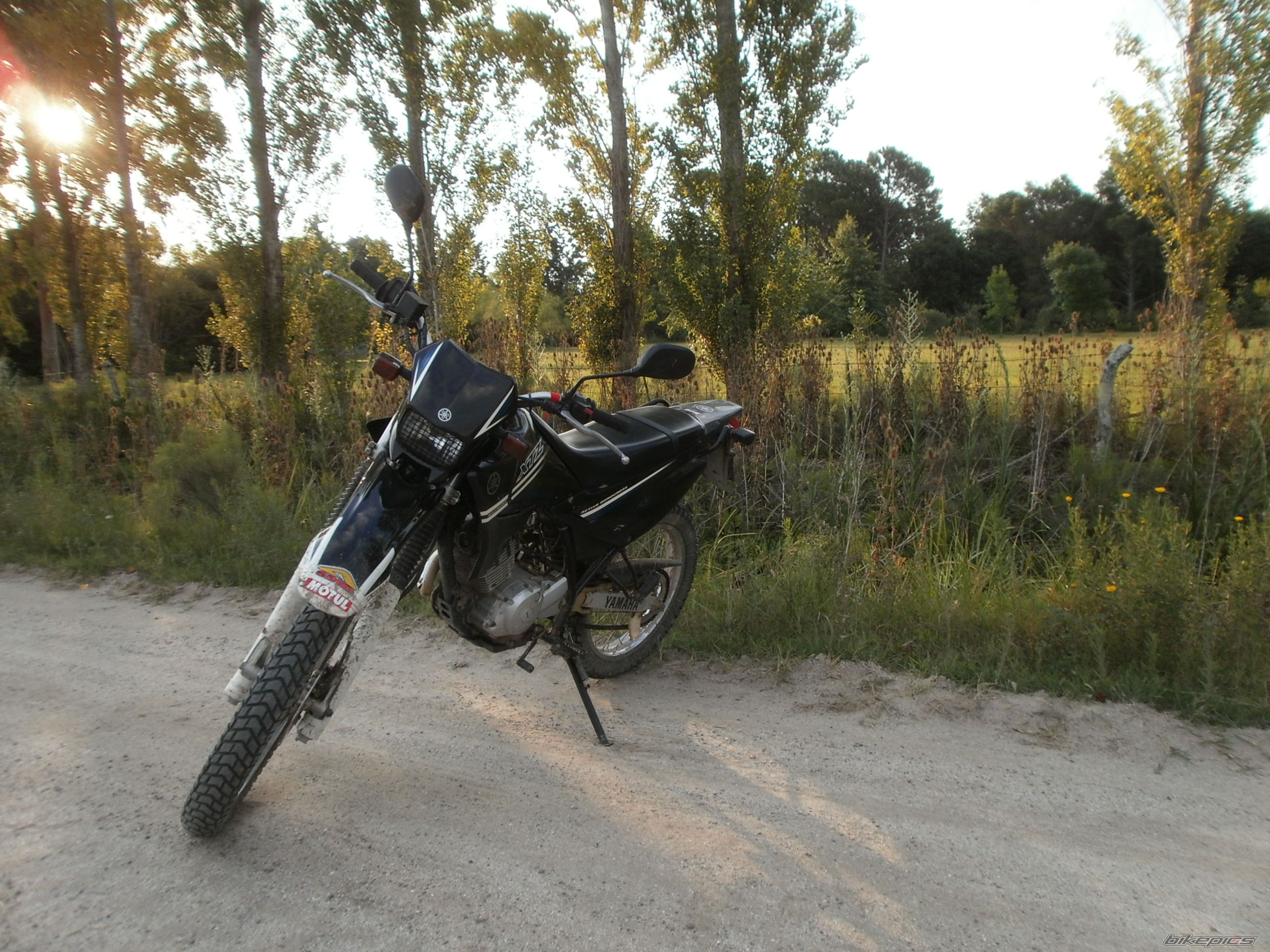 Photo 2783543