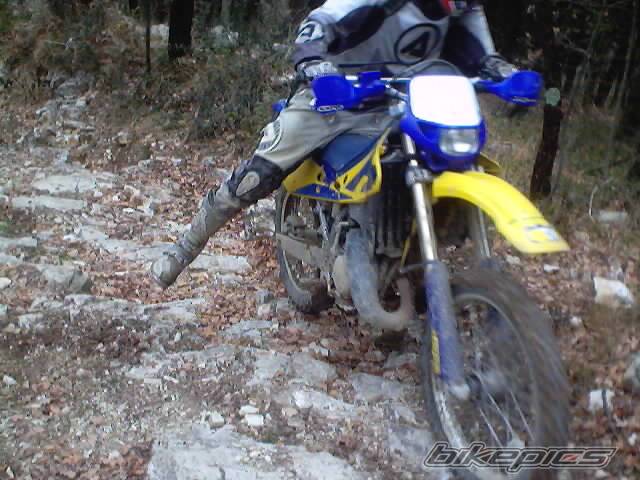 Photo 278356