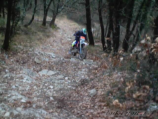 Photo 278358