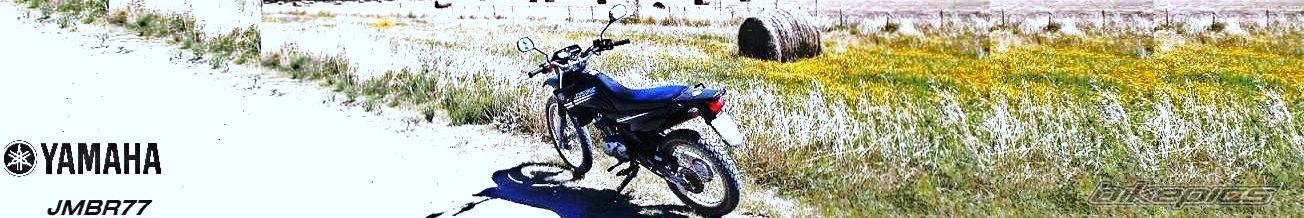 Photo 2783623
