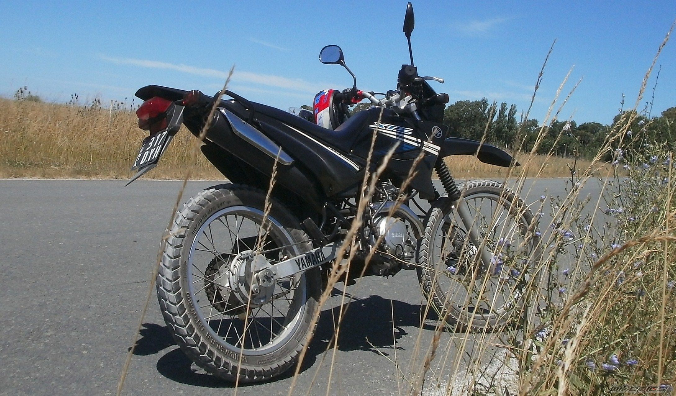 Photo 2783667