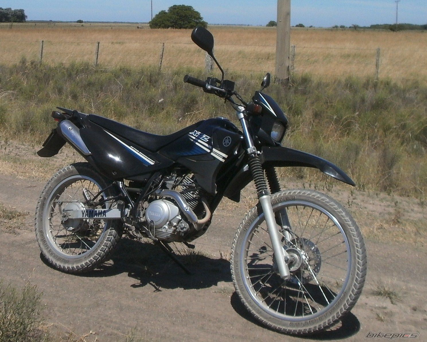 Photo 2783676