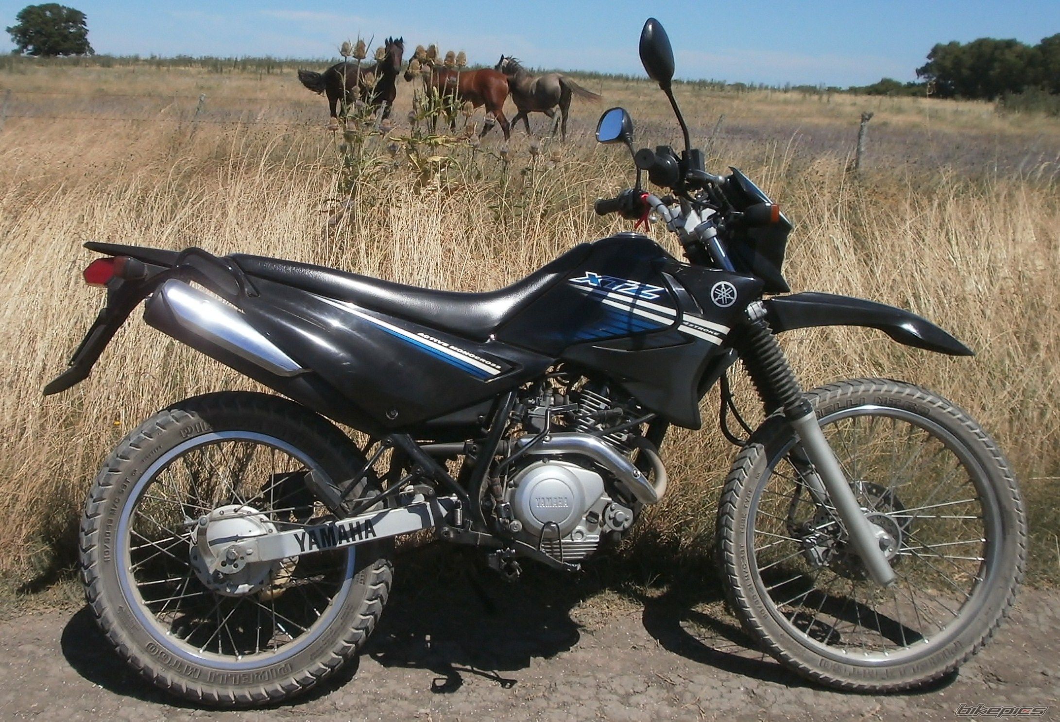 Photo 2783677