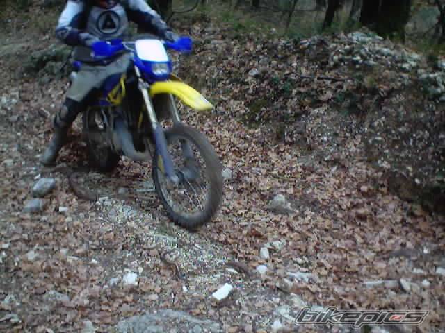 Photo 278368