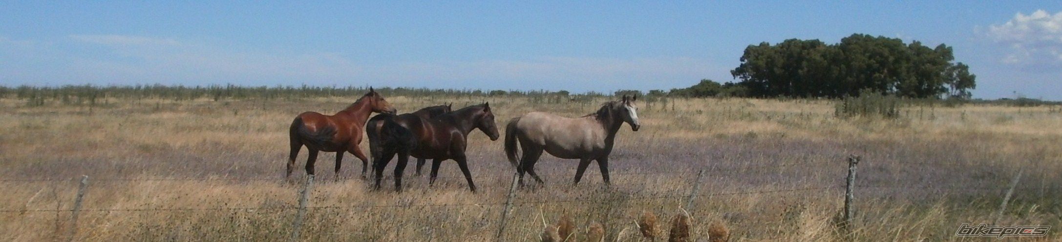 Photo 2783680