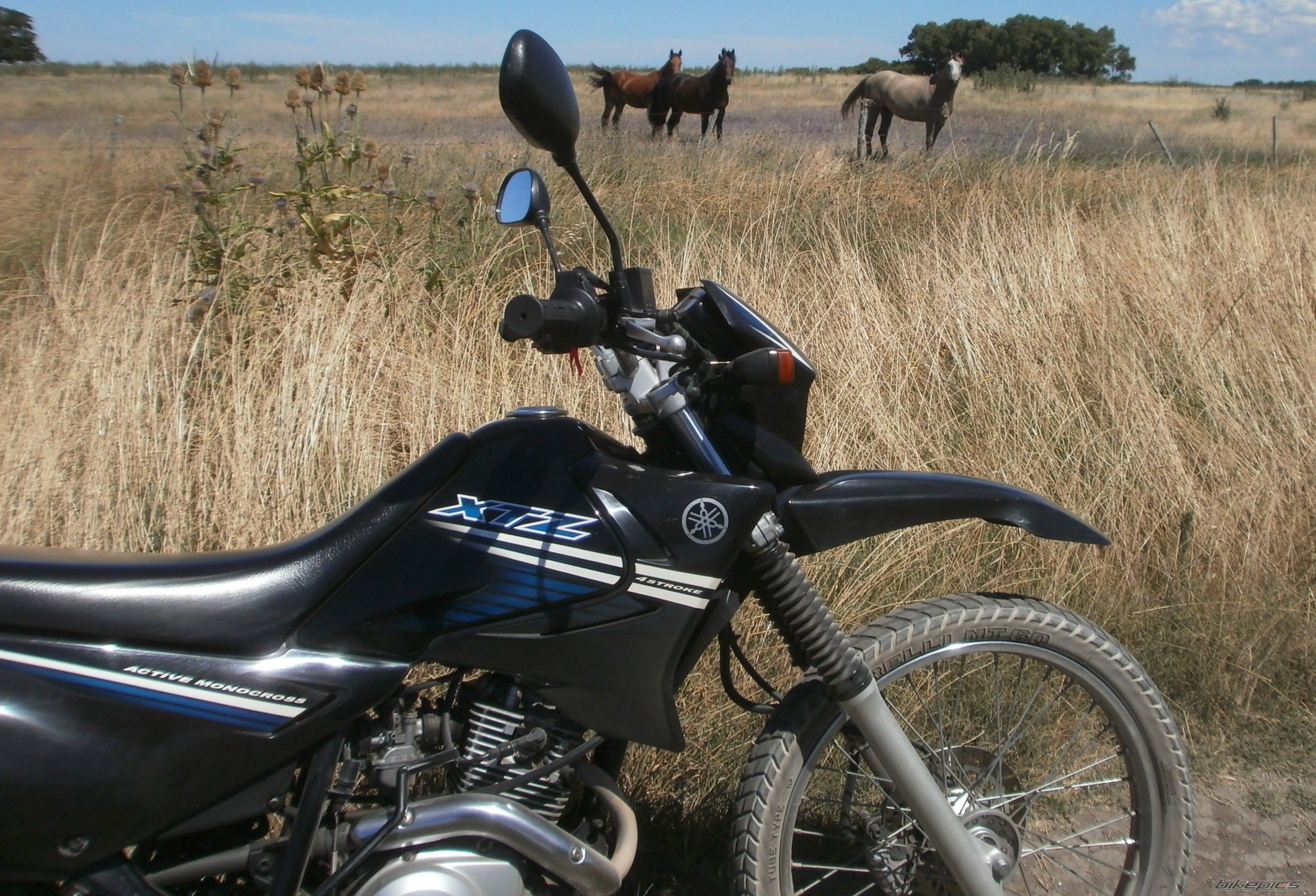 Photo 2783681