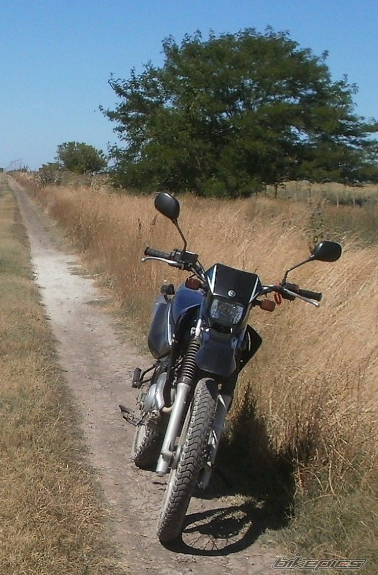 Photo 2783682