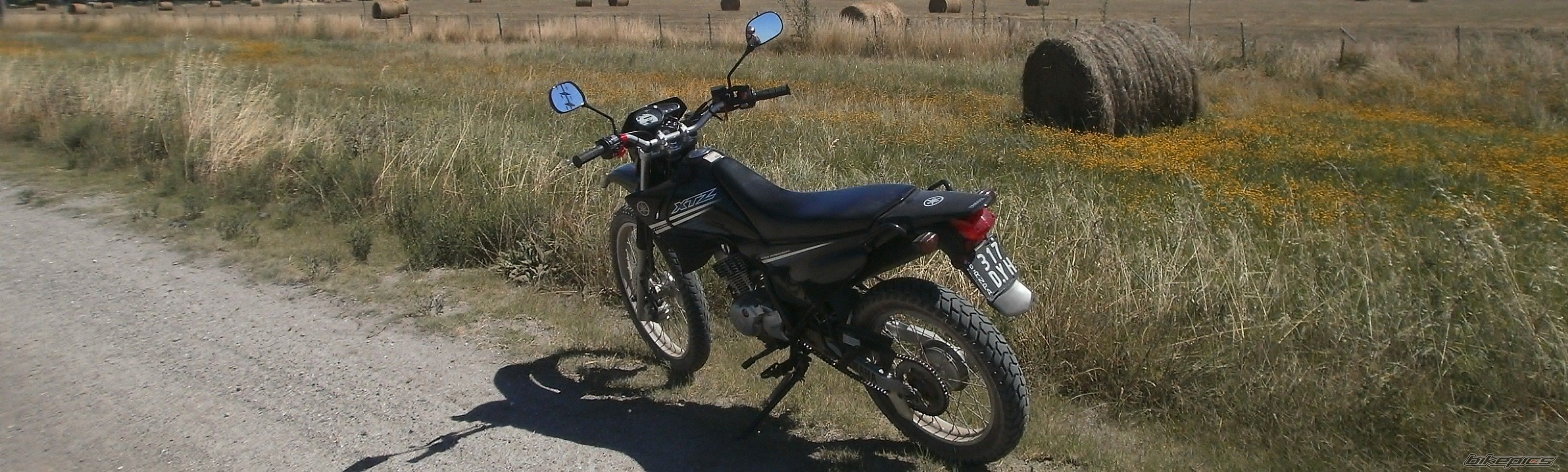 Photo 2783683