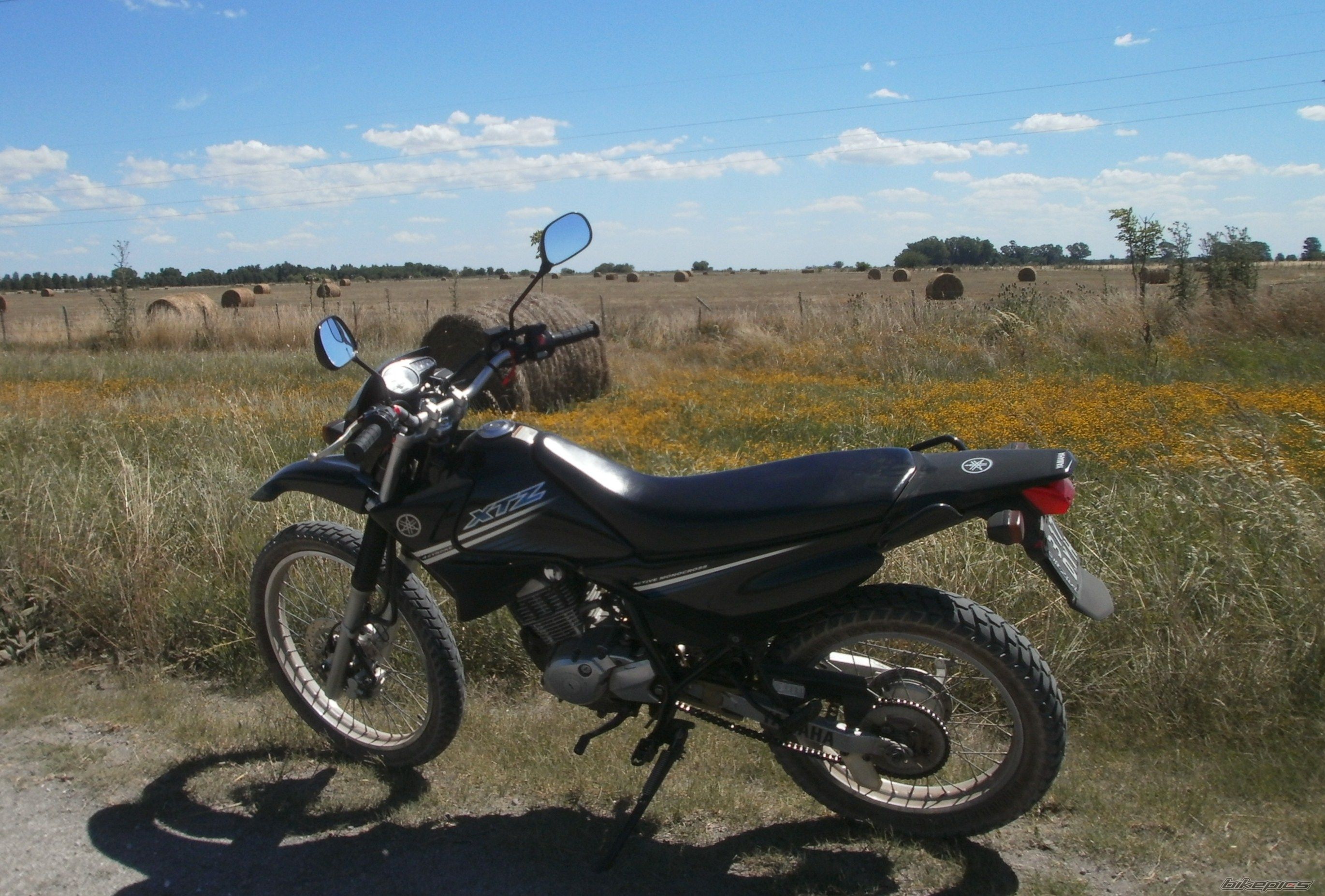 Photo 2783685