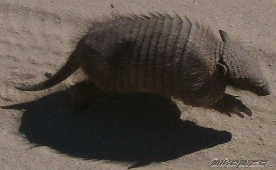 Photo 2783689