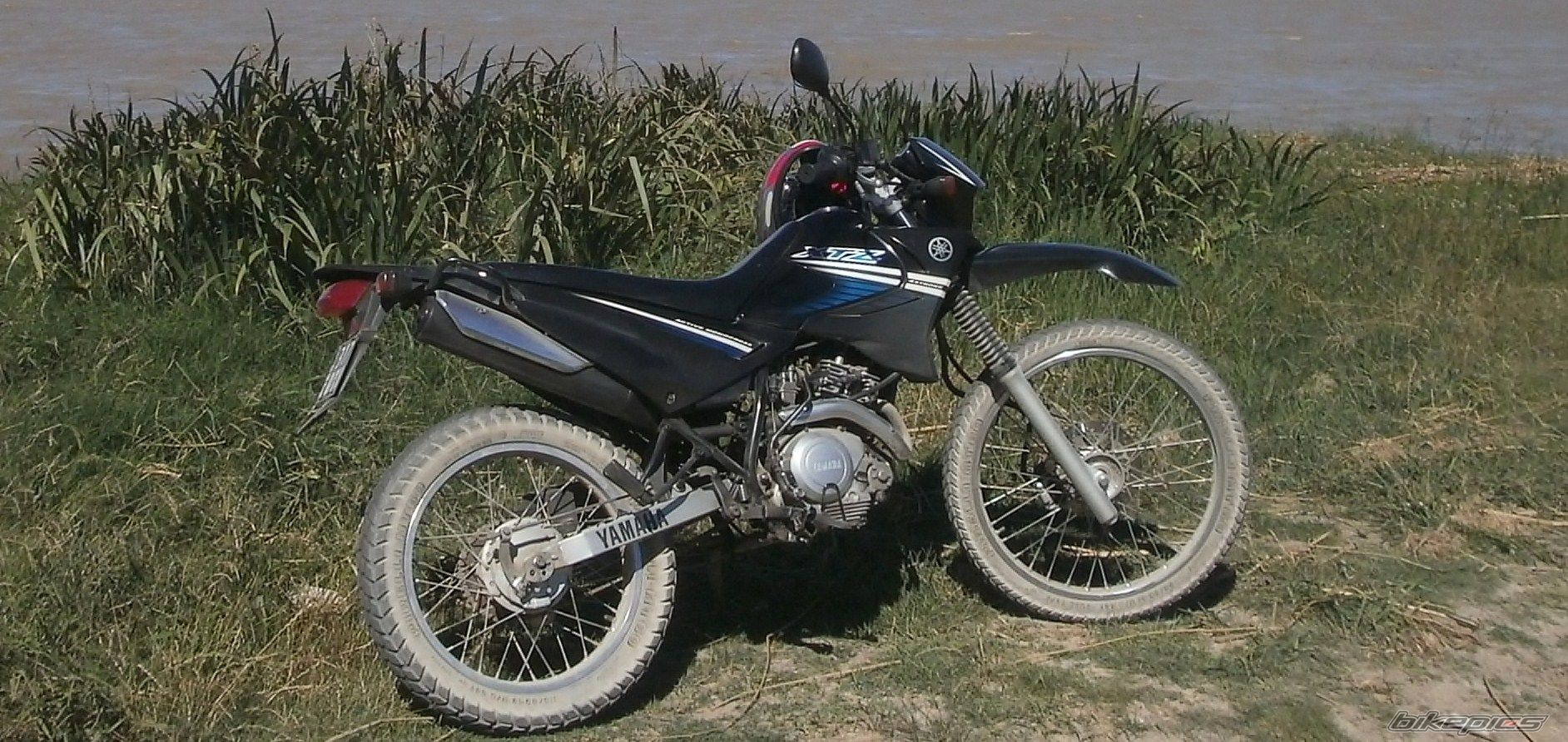 Photo 2783694