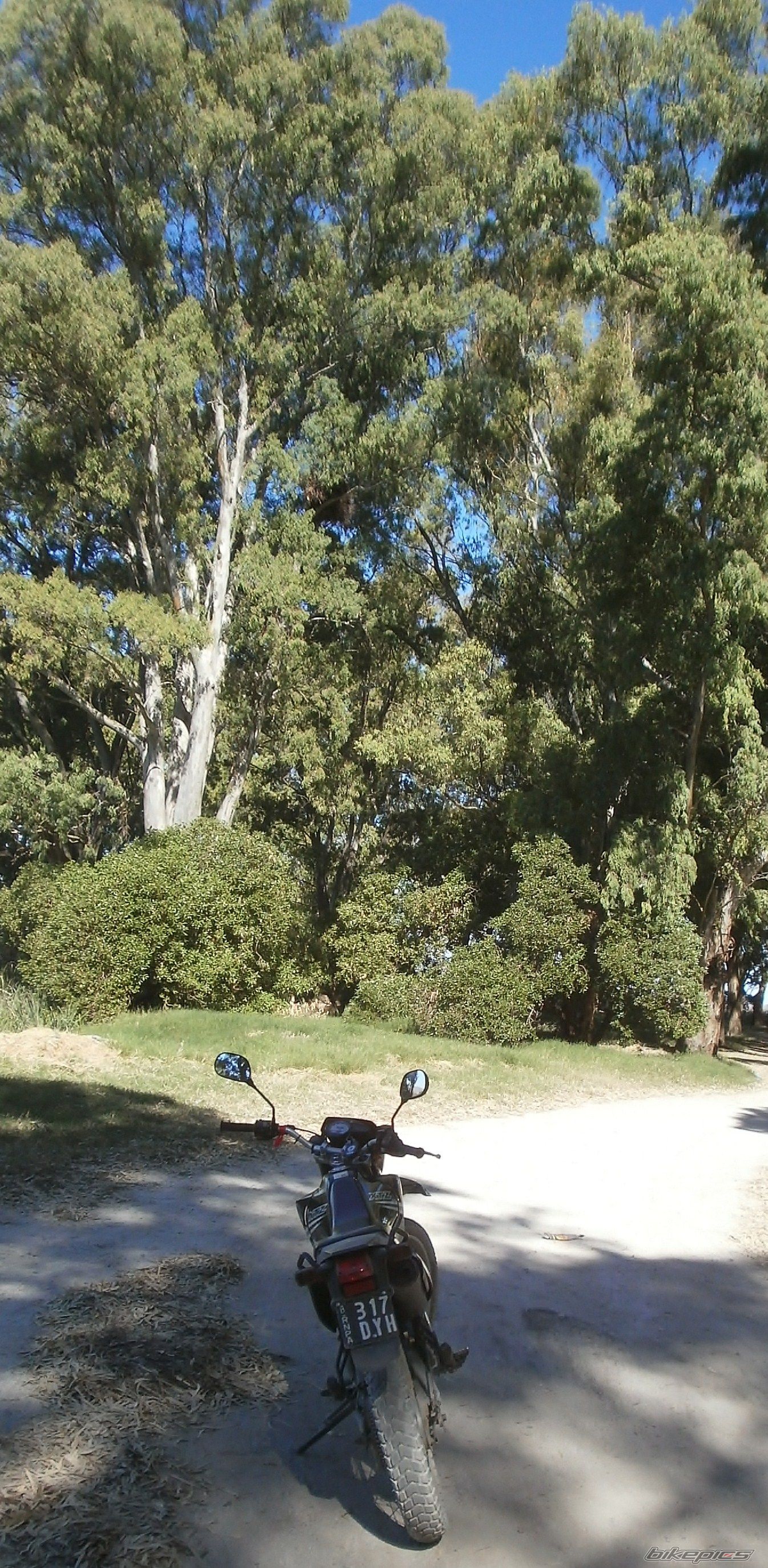 Photo 2783710