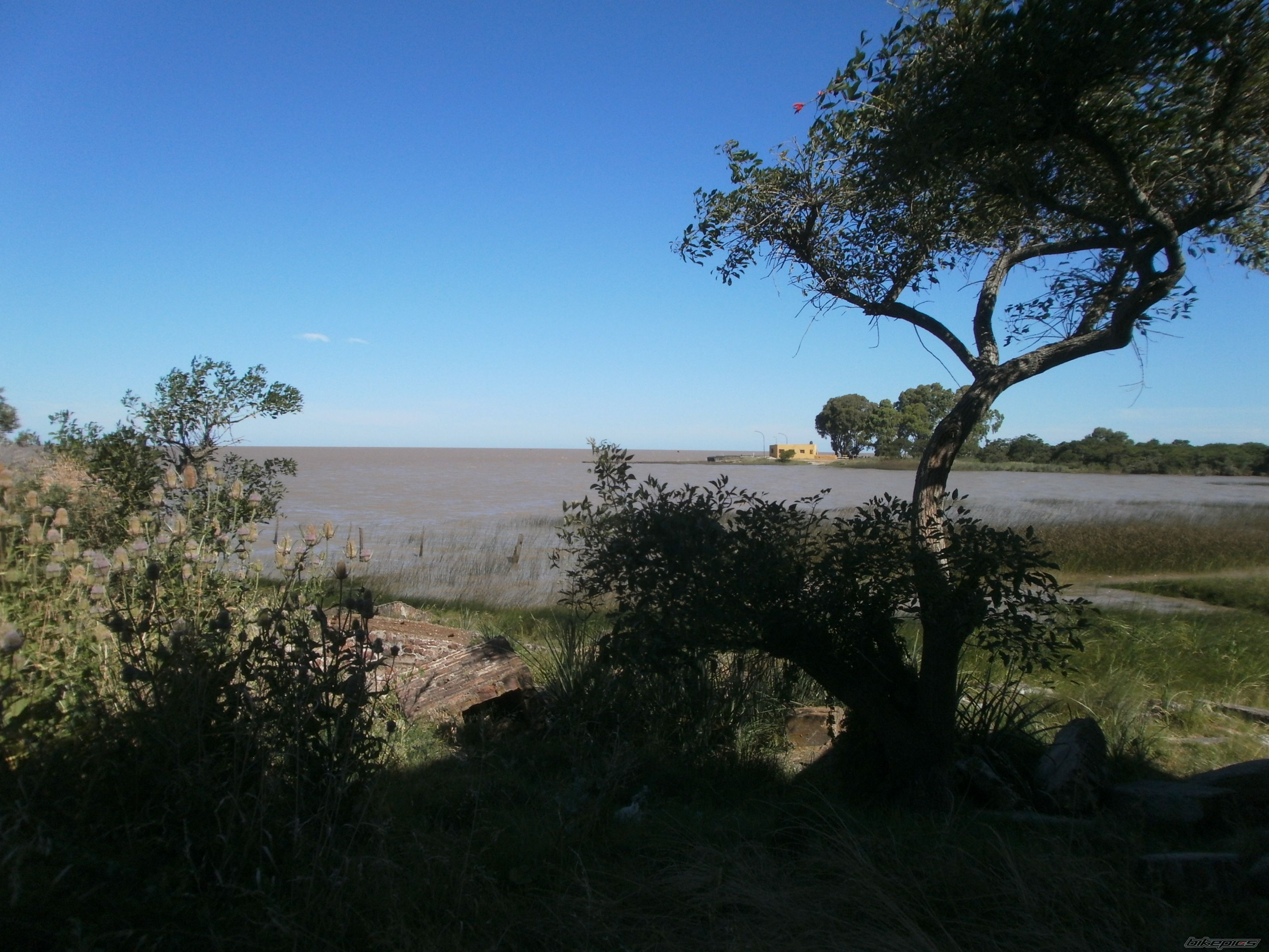 Photo 2783715