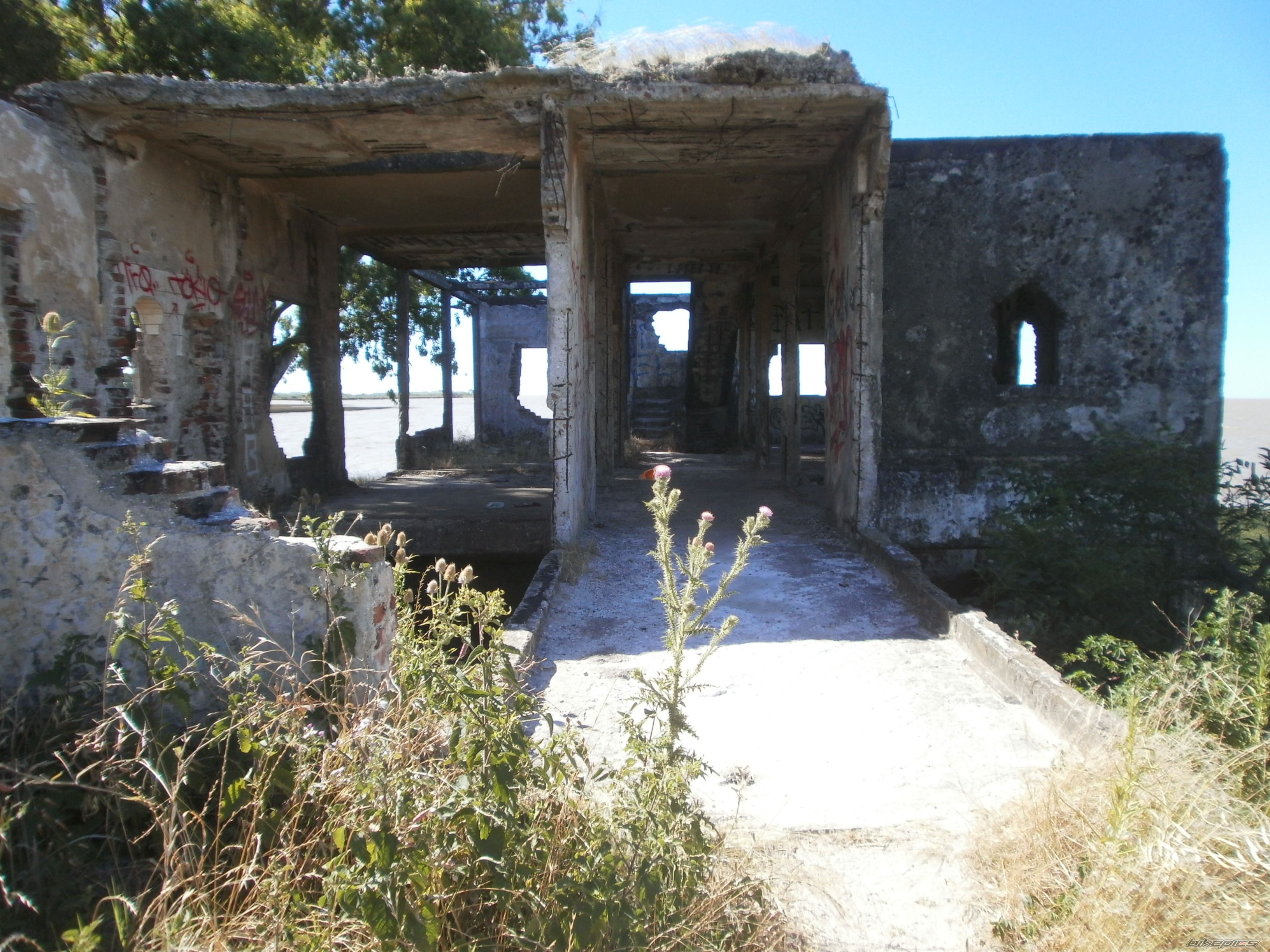 Photo 2783716
