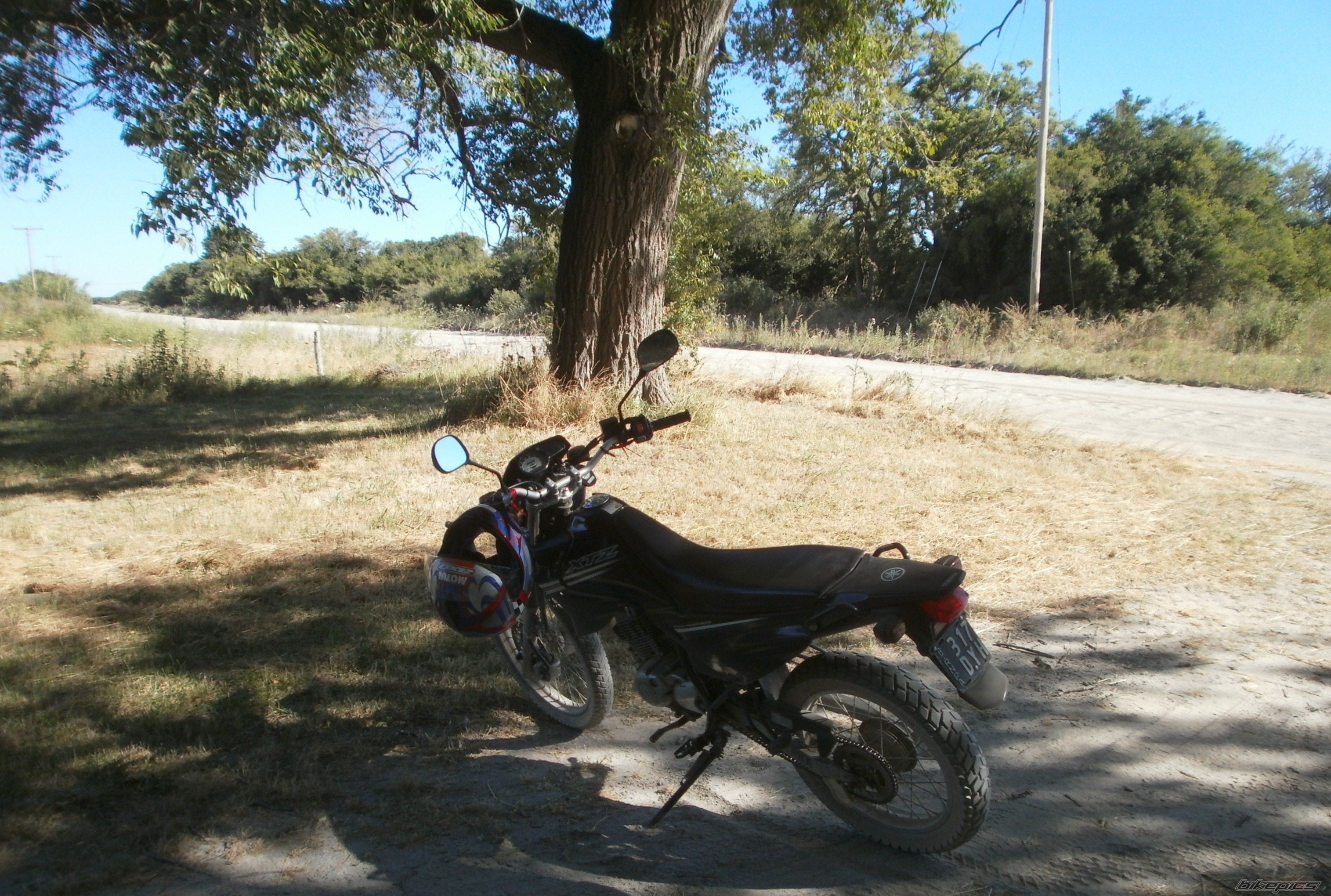 Photo 2783740