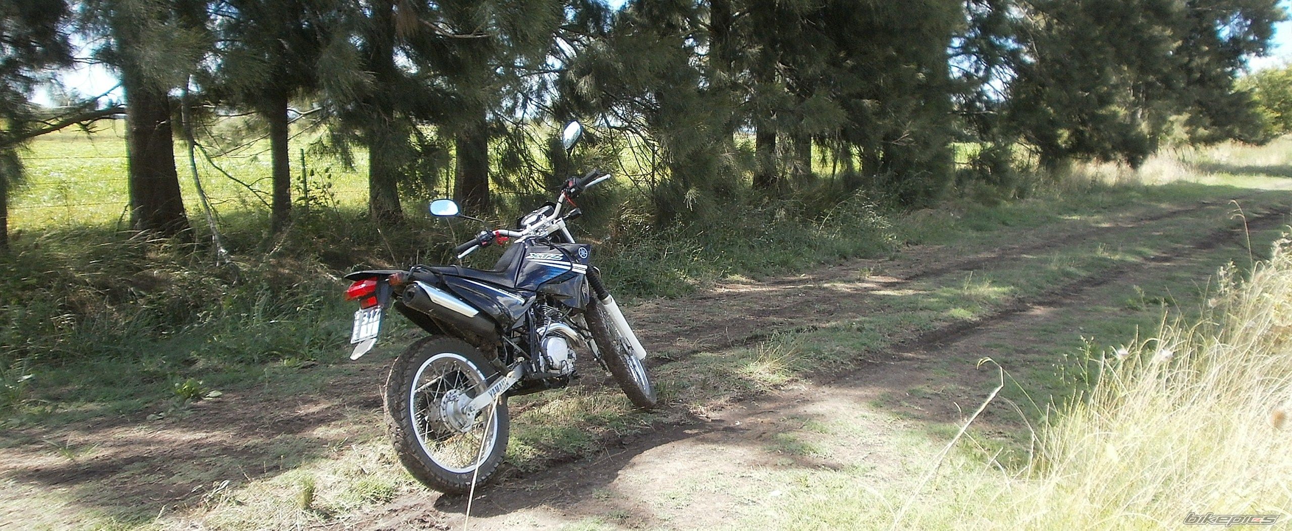 Photo 2783750