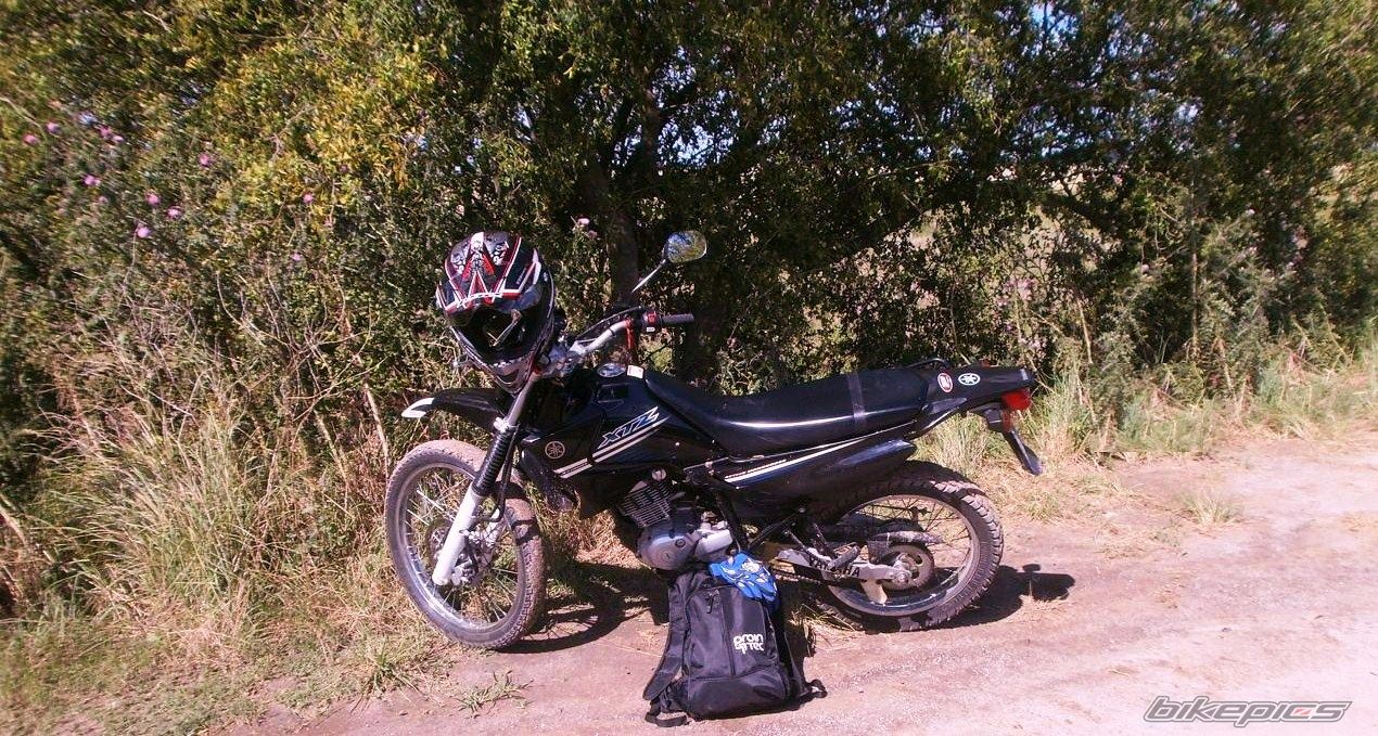 Photo 2783752