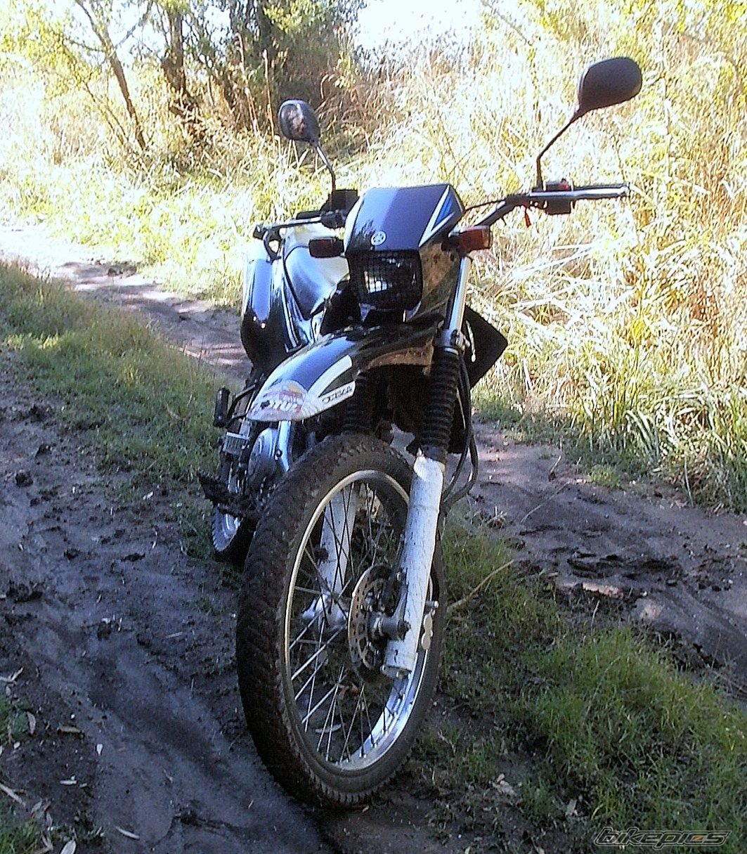 Photo 2783761