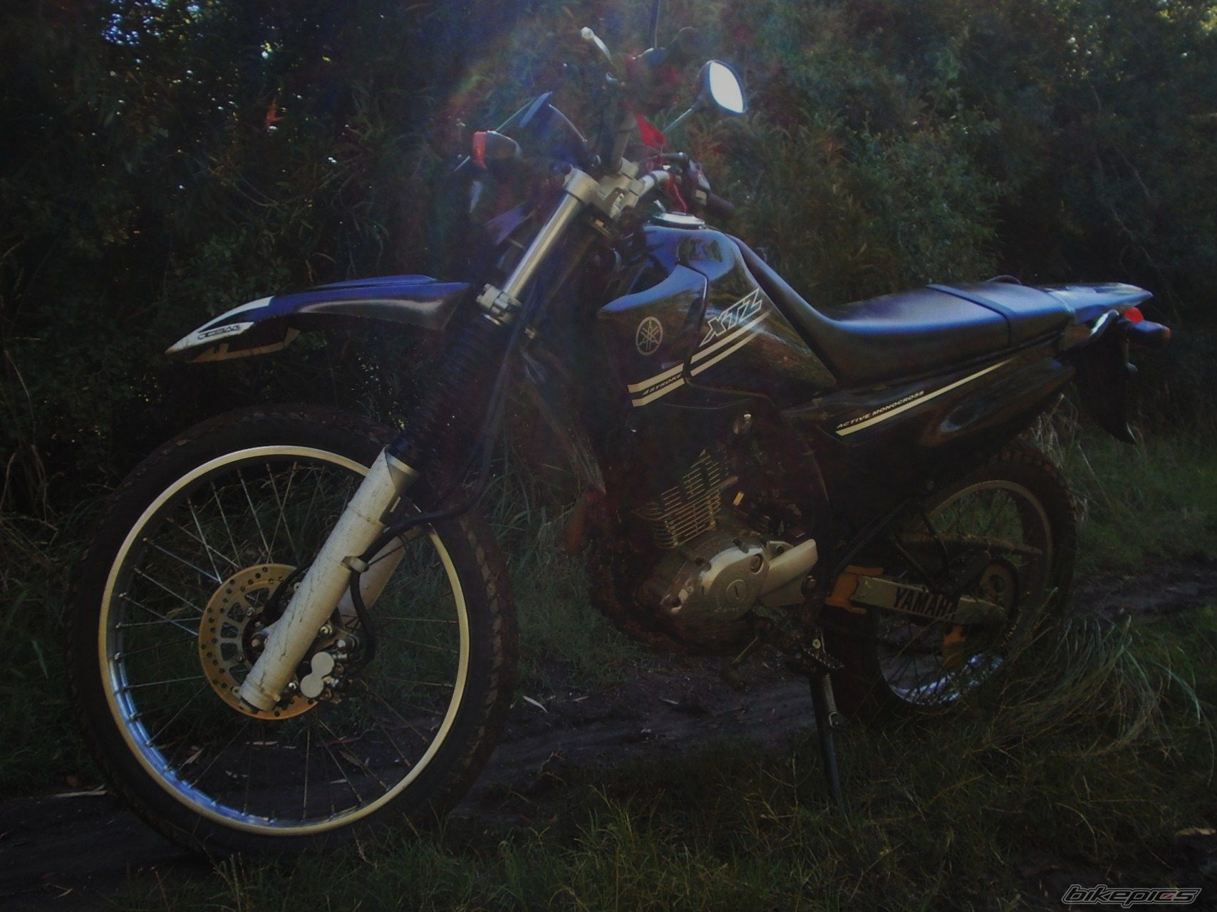 Photo 2783763