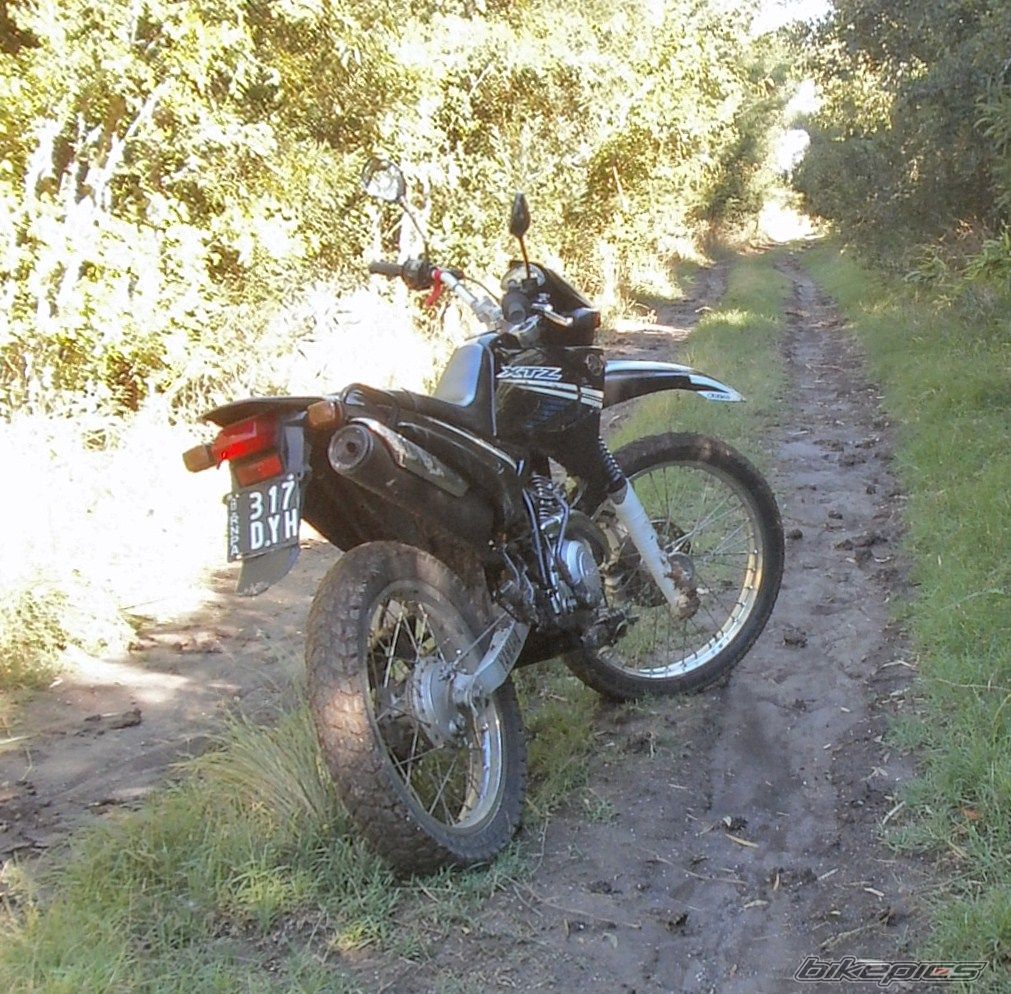 Photo 2783765