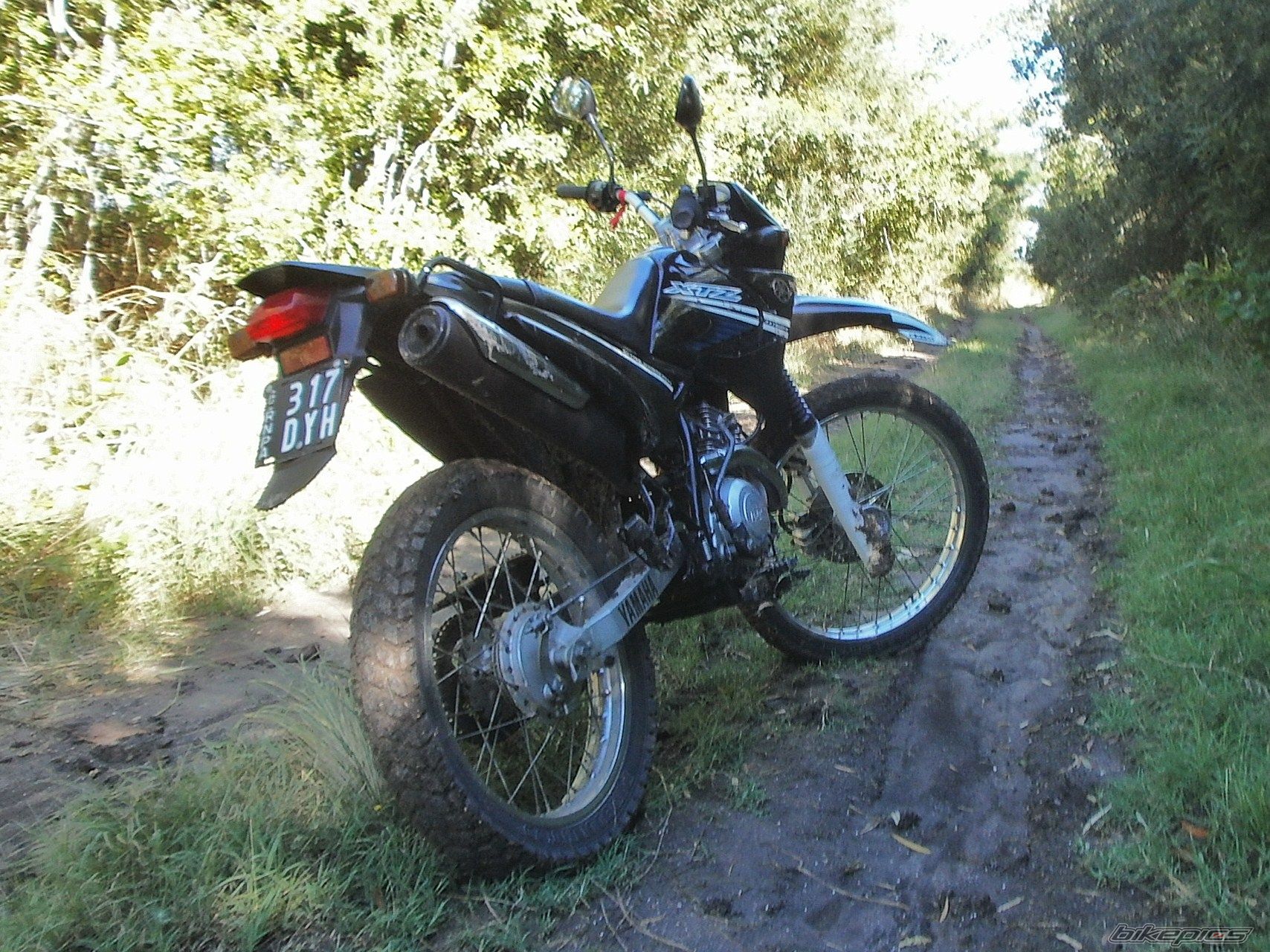 Photo 2783766