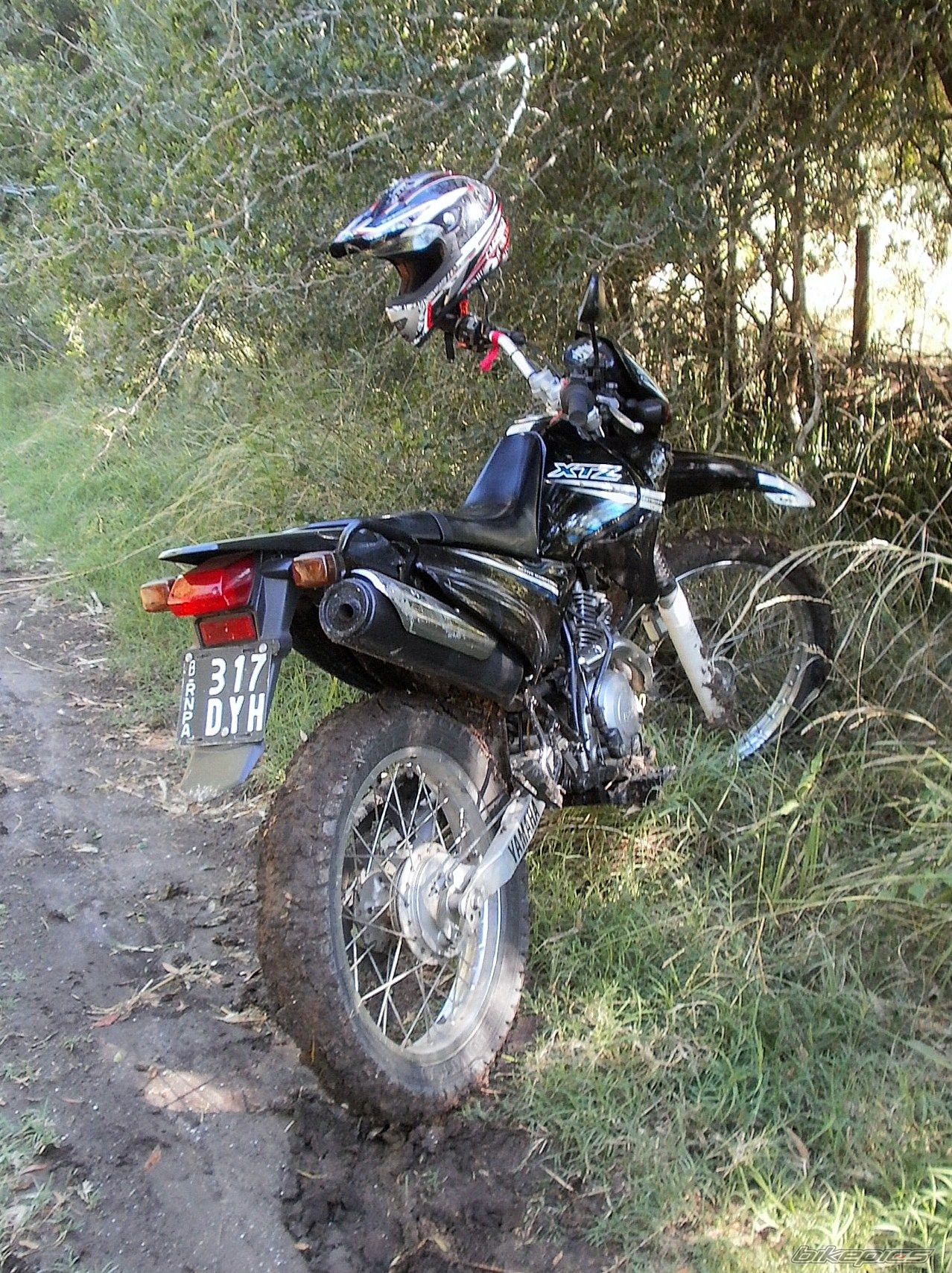 Photo 2783767