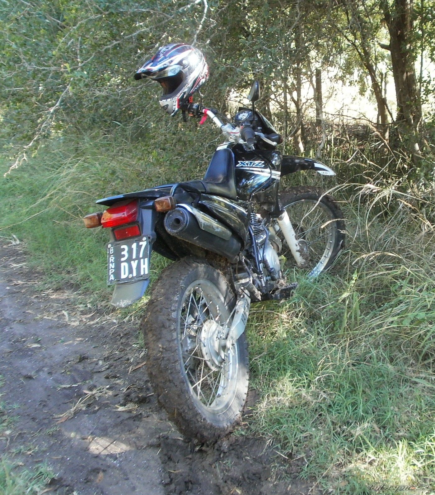 Photo 2783768