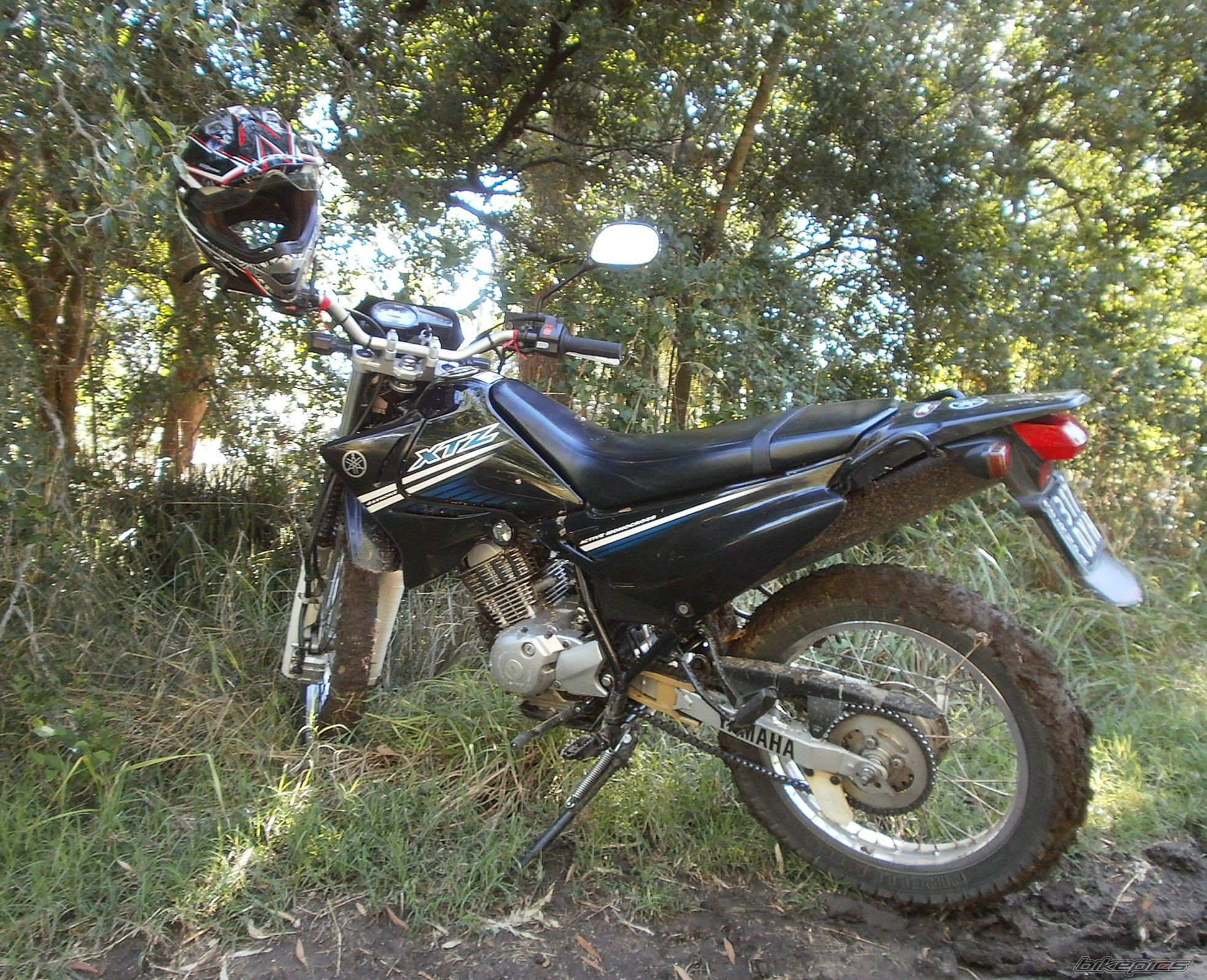 Photo 2783769