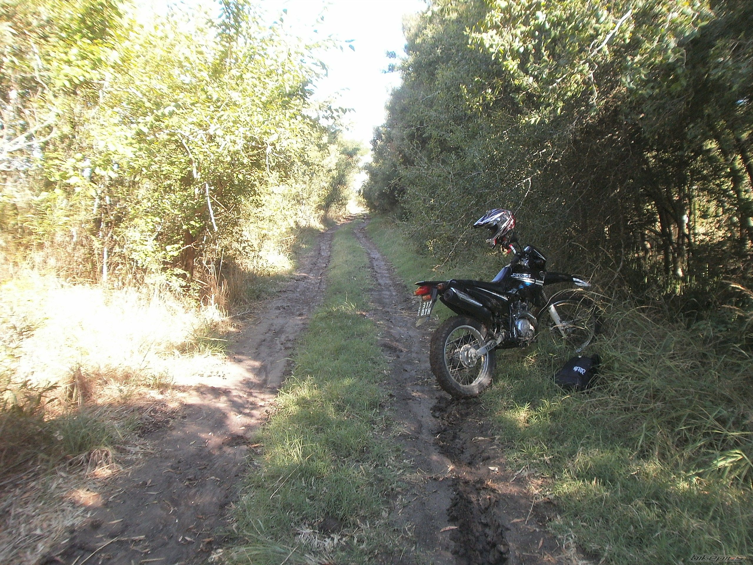Photo 2783771