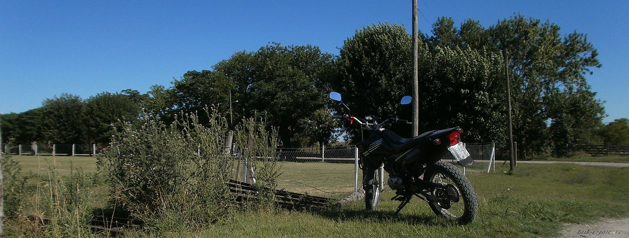 Photo 2783776