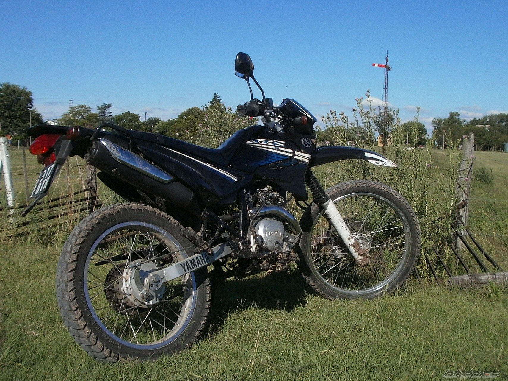 Photo 2783777