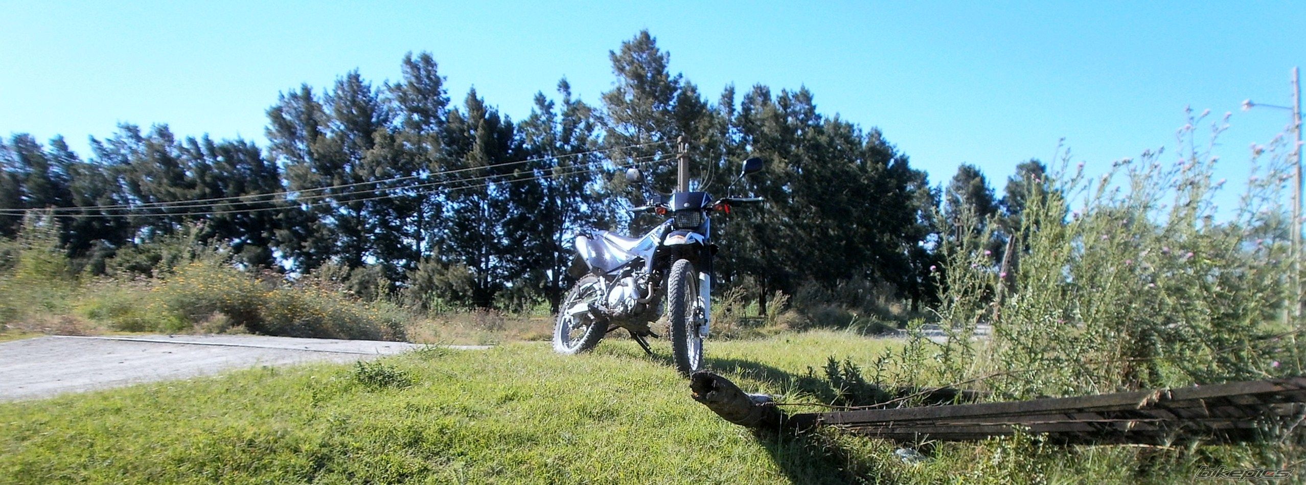 Photo 2783783