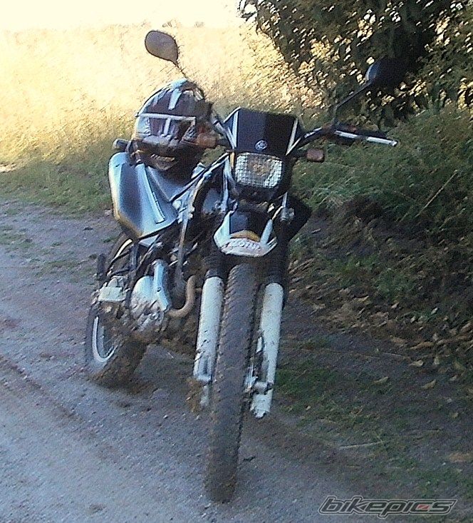 Photo 2783786