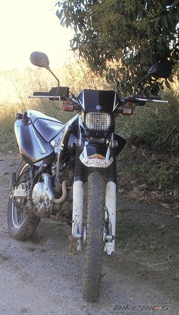 Photo 2783787