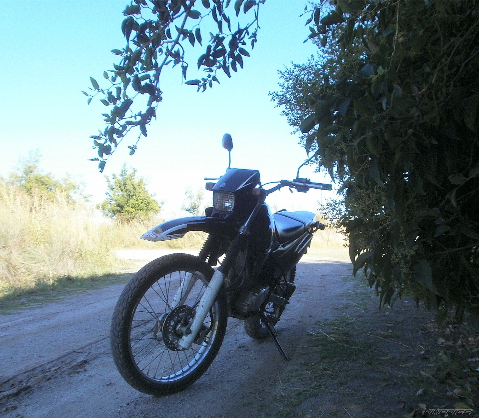 Photo 2783788