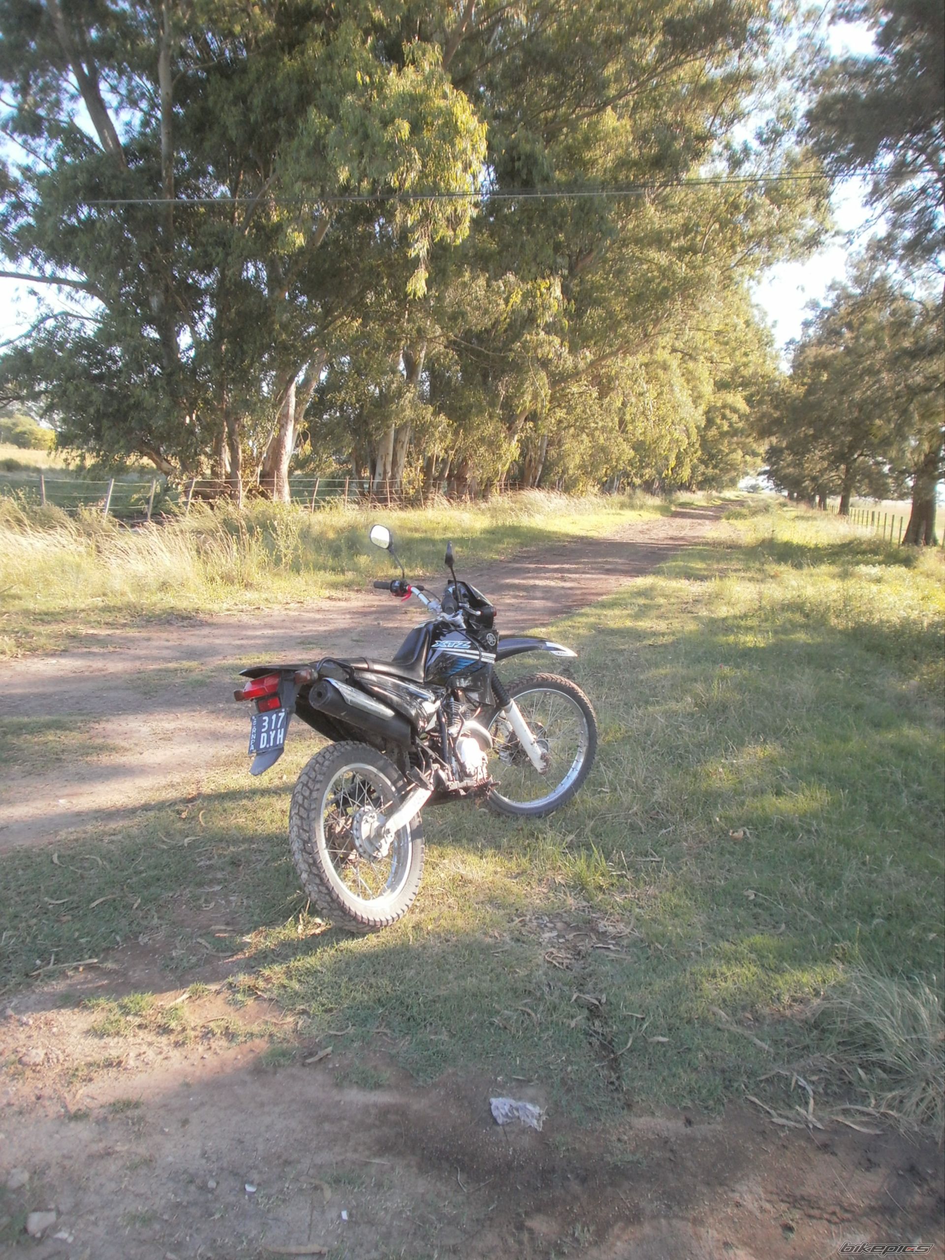 Photo 2783792