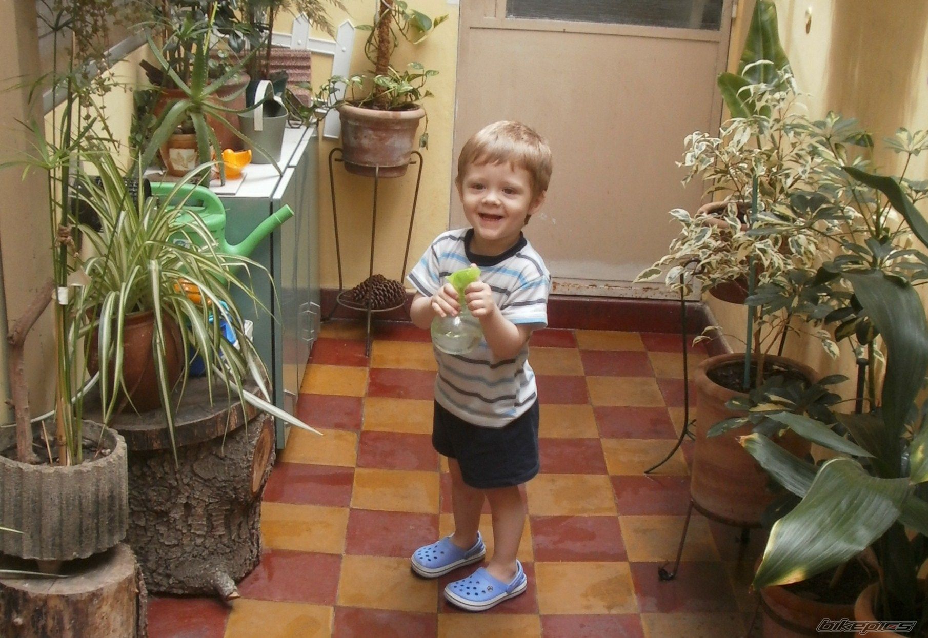 Photo 2783803