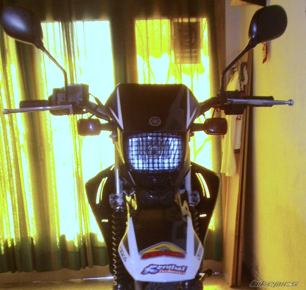 Photo 2783810