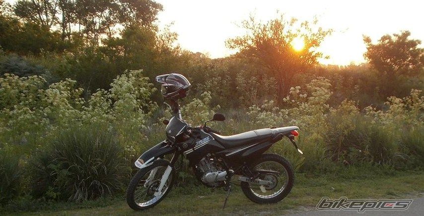 Photo 2783816