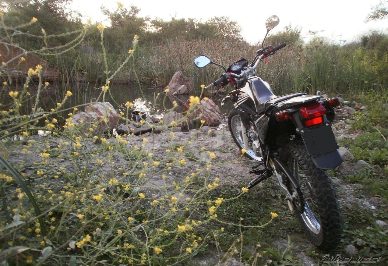 Photo 2783827