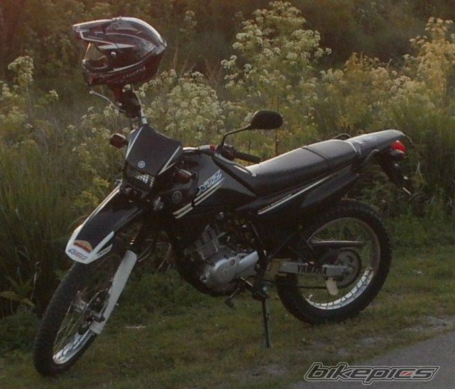 Photo 2783828