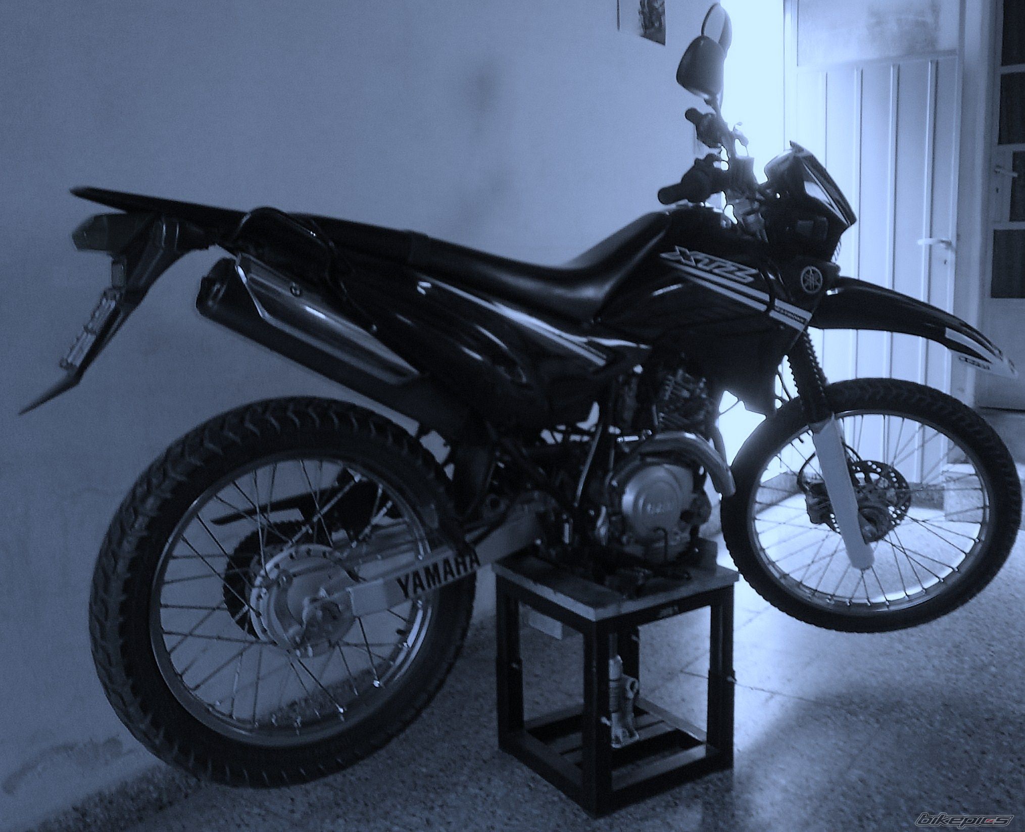Photo 2783830