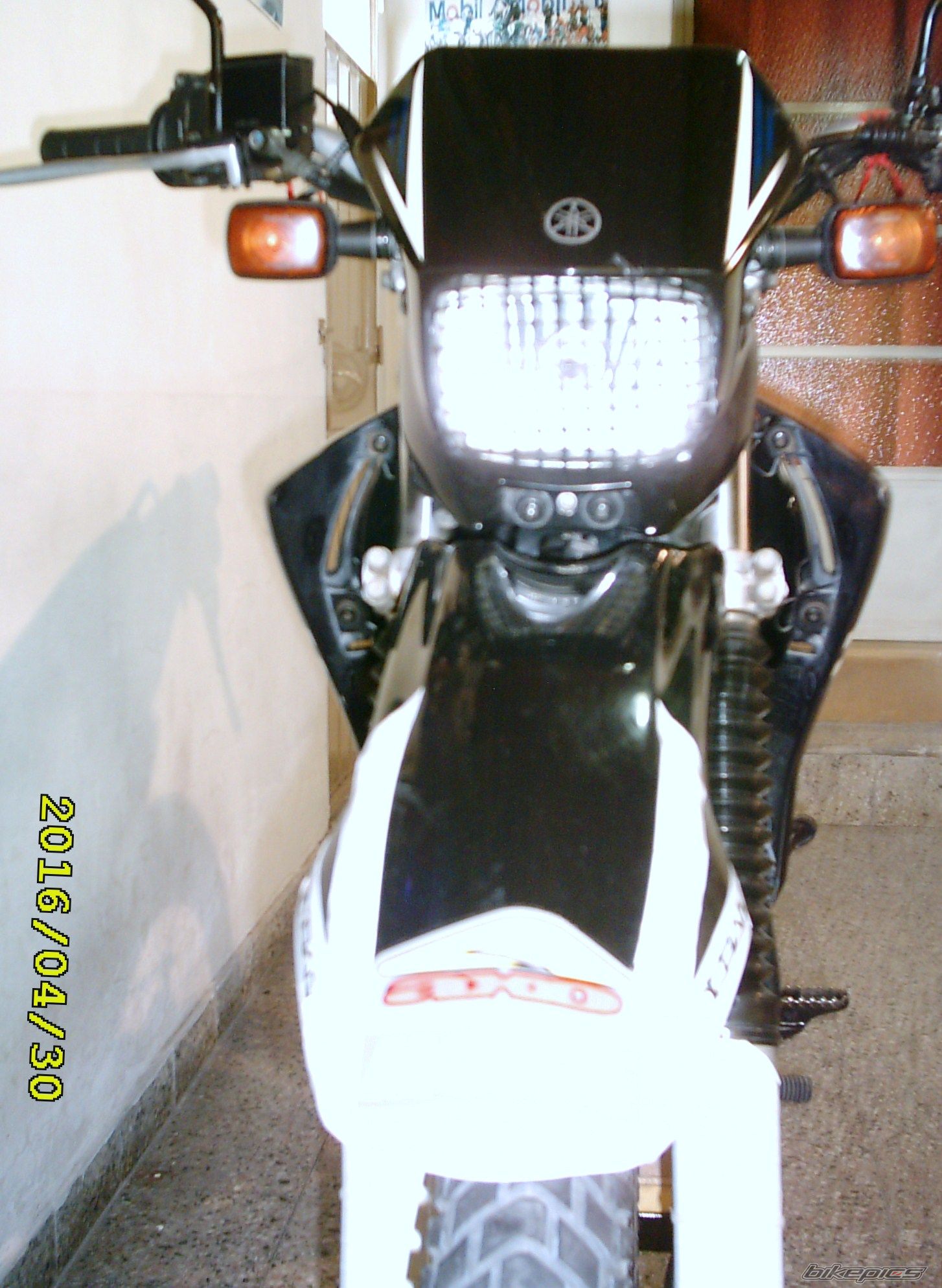 Photo 2783843
