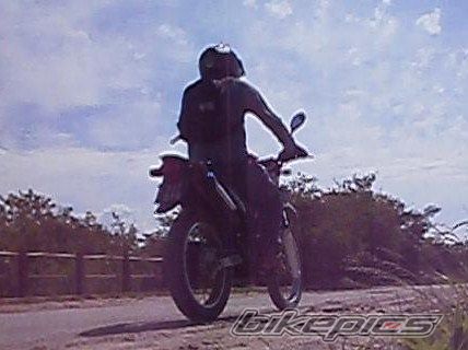 Photo 2783848