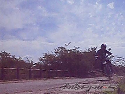 Photo 2783849