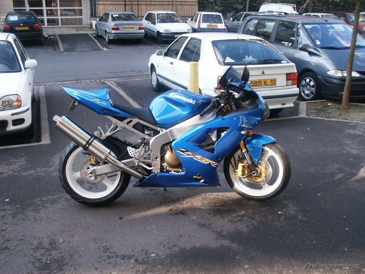 Photo 278385