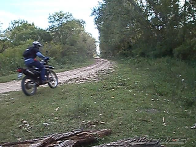 Photo 2783860