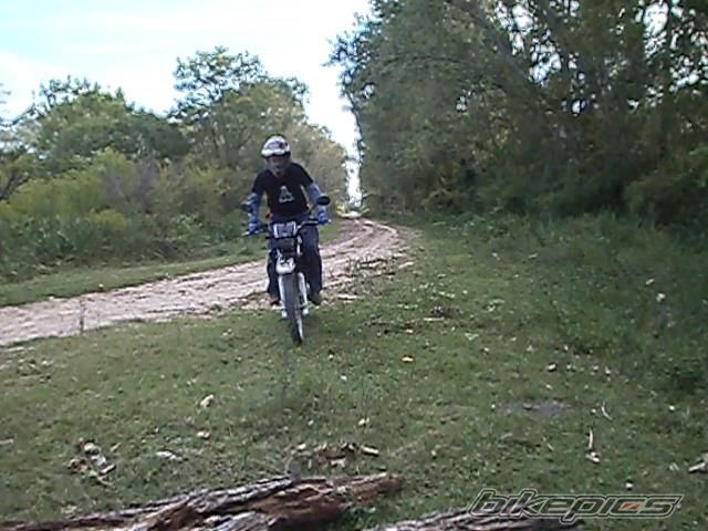Photo 2783868
