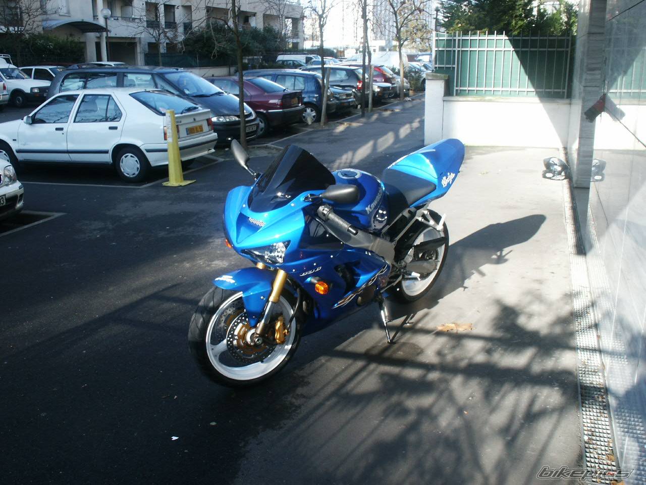 Photo 278387
